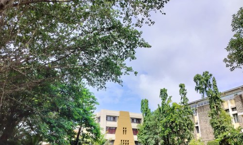 地榆槐角丸的用法与用量-权威地榆槐角丸用法平台,分享专业地榆槐角丸的组成知识_地榆槐角丸价格网
