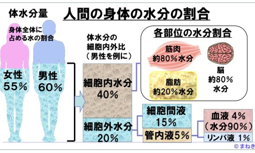 地榆槐角丸价格表-权威地榆槐角丸用法平台,分享专业地榆槐角丸的组成知识_地榆槐角丸价格网